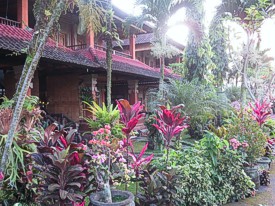 Cedana Resort, Ubud, Bali. Photo by Brenda Hinton, Bali, February 2014